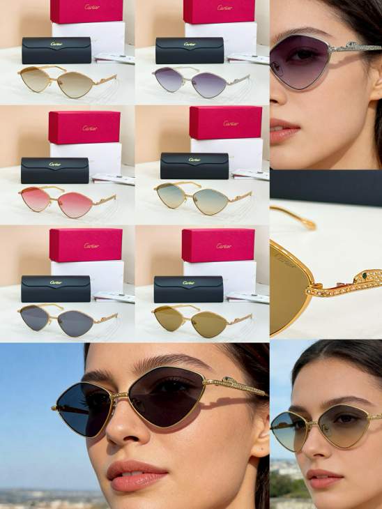 Picture of Cartier Sunglasses _SKUfw80235859fw